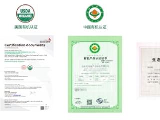 瑷露德玛生活馆：专业芦荟护肤单品牌店的商业价值解析