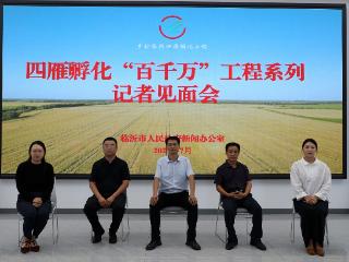 15年，平邑县武台镇葡萄合作社从裂果绝收到年销千万！
