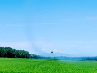 北大荒农业股份新华分公司：航化作业 “空中铁军”出击 筑牢作物生长防护网