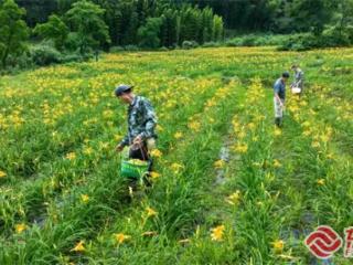 共同富裕丨三明三元：乡村生态旅游绽放新光彩