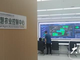 活力中国调研行 | 黄淮海（宿州）种业科技谷 科技赋能种业振兴