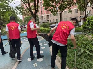人大代表带头行，青年志愿展风采