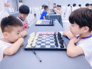 方寸棋盘展风采，临沂这场象棋赛事吸引200余名棋手参赛