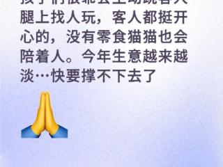 让流浪猫“打工”赚口粮的猫咖难以为继 店主发帖求助引网友争当“云股东”