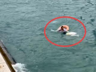 安徽57岁女子奋不顾身跳海救起落水女生 当事人发声：来不及多想，一心只为救人