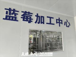 贵州苗之灵：“酸汤 +” 调出产业发展新“风味”