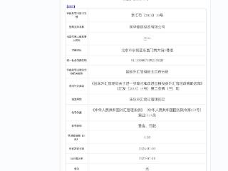 国华能源投资有限公司因违反外汇管理规定被罚4万元