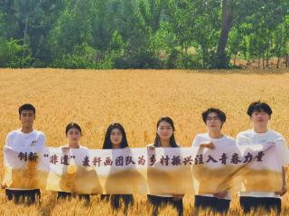 河南机电职业学院团队深耕清丰麦秆画，探索“非遗+乡村振兴”