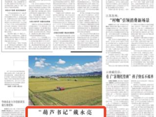 《农民日报》关注贵州省普安县红星村的“乡村追梦人”：“葫芦书记”戴永亮