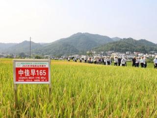 第四届全国早稻新品种新技术观摩研讨会在湘东召开