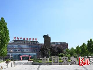 邢台市南和区“百亿宠都”的进阶密码