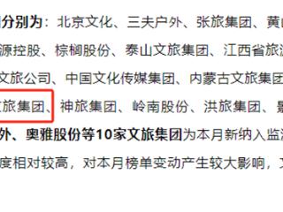 重磅喜讯！武当山文旅集团荣膺2025年6月中国文旅集团百强榜单新晋TOP20！