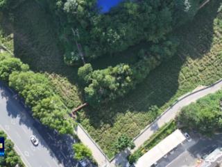 见缝插绿！茅箭零星地块巧变城市风景线