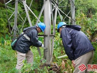 沙县区供电：立体巡检 筑牢电网“防汛屏障”