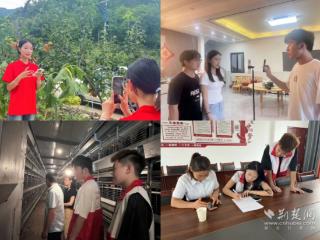 “扶志”“扶智”双引擎 教育星火点亮山村