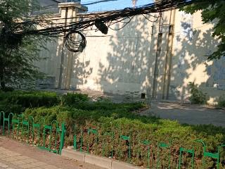 情报站|泰安南关大街一绿化带上方电线悬空，存安全隐患盼修复