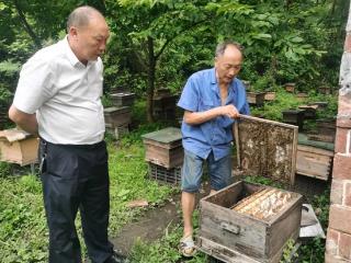 上饶市广信区田墩镇养蜂人夏毓海的“甜蜜”致富秘籍