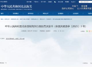 申报不实影响税款征收，北京瑞普三元计装科技有限公司被罚超百万