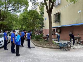 城管进社区：毁绿固地触红线 “即拆即绿”暖民心