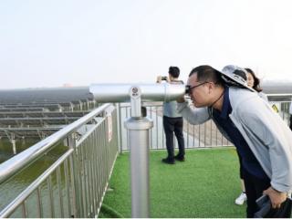 虾池子上建光伏，魏桥创业源头减排绿色发展提供新样本