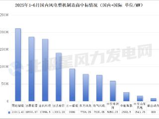 明阳智能:1-6月中标规模领跑行业 海外海风订单放量