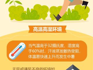 图表丨这些情况容易中暑！警惕这几类“高危场景”