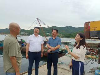 数智赋能海洋经济高质量发展 政策性海参养殖海温指数保险落地威海