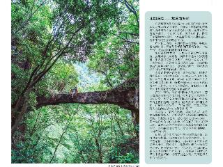 贵州徒步线路推荐系列——花溪鬼架桥｜赏黔中夏季奇幻色彩