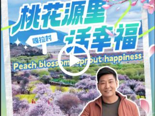 桃花源里话幸福