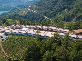 成蕴琳 罗玉婵：要素市场化，破除体制机制壁垒