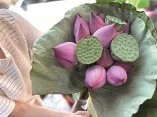 杭州夏日限定风雅 菜场里的荷花莲蓬上市了