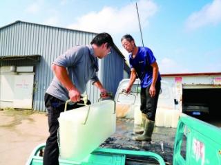 江苏南京：高温带火“冰生意” “冰工厂”开足马力