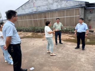 多部门携手共谋发展，肉鸡养殖保险为产业护航