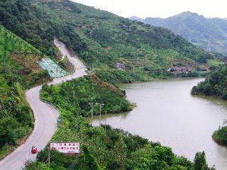 G354蝶变：一条“顺心路”让蜂糖李“鲜”达全国