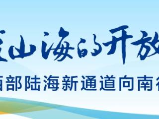 西部陆海新通道贵州行｜遵义：何以开放，从“通”到“畅”的蝶变升级