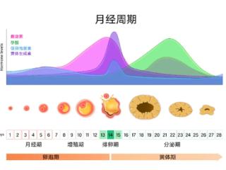 大连美琳达妇儿医院：怀得上，留不住，看不见的“隐形杀手”正在悄悄剥夺你的生育力！