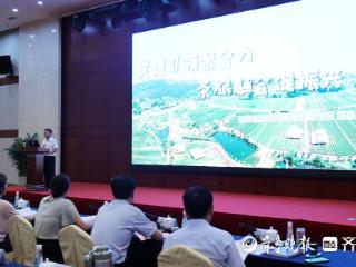 “振兴有我” 路演活动落幕，日照13 个优质项目助力乡村振兴