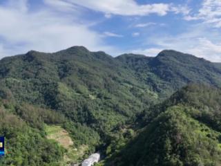 持续提升能力作风 服务湖北建成支点丨十堰持续改善人居环境 打造美丽乡村
