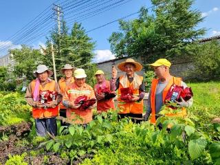 济南市莱芜区口镇街道：高温下的清凉关怀