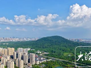 合肥天气晴热 空气质量为优（组图）