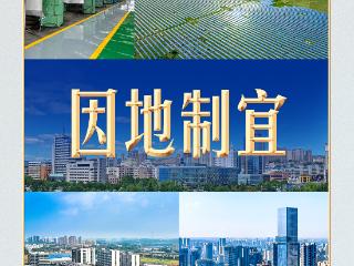 习言道 | 切忌“捡进篮子都是菜”，习近平的告诫有深意