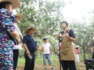 北京办培训班，为乡村振兴“头雁”集体“充电”