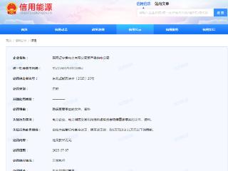 隐瞒重要事实文件、资料，国网辽宁电力2家分公司被罚共75万元