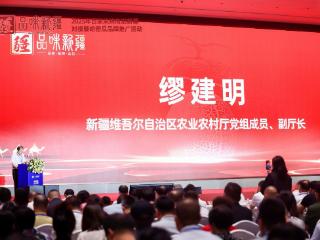 百家采购商进新疆第十九届哈密瓜节系列活动盛大开幕成果显著