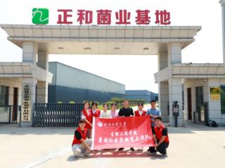 河南工业大学：激活乡村“新细胞”，奏响振兴“最强音”