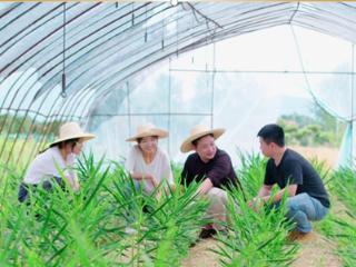 咸安区新农人吴浩林：用新兴技术书写别样青春