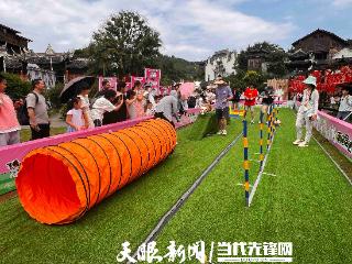 以犬为媒，贵州下司古镇萌宠嘉年华解锁“旺旺IP”融合密码