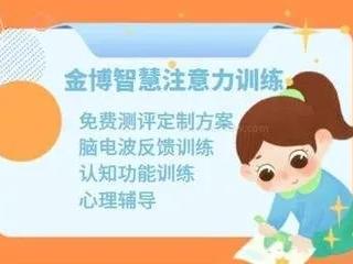 9个月核心冲刺+3个月精准强化：一文读懂金博智慧注意力训练全流程