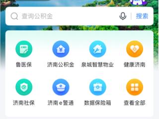2025年济南中考第一批次志愿录取结果查询，就上“爱山东”济南分厅