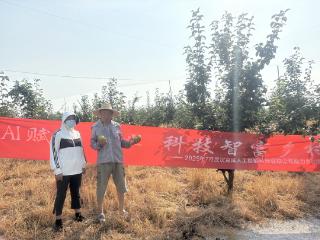 当AI量化遇上田间硕果：百域科技万斤梨子背后的温度
